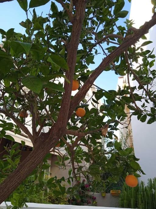 Iliaktis Cozy & Quiet Apartment Heraklion Zewnętrze zdjęcie